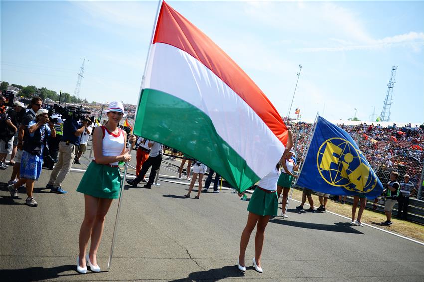 Hungary flags on gird 2024