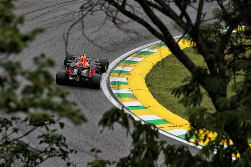 F1 car through a tree